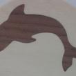 Dolphin Earring and Inlay